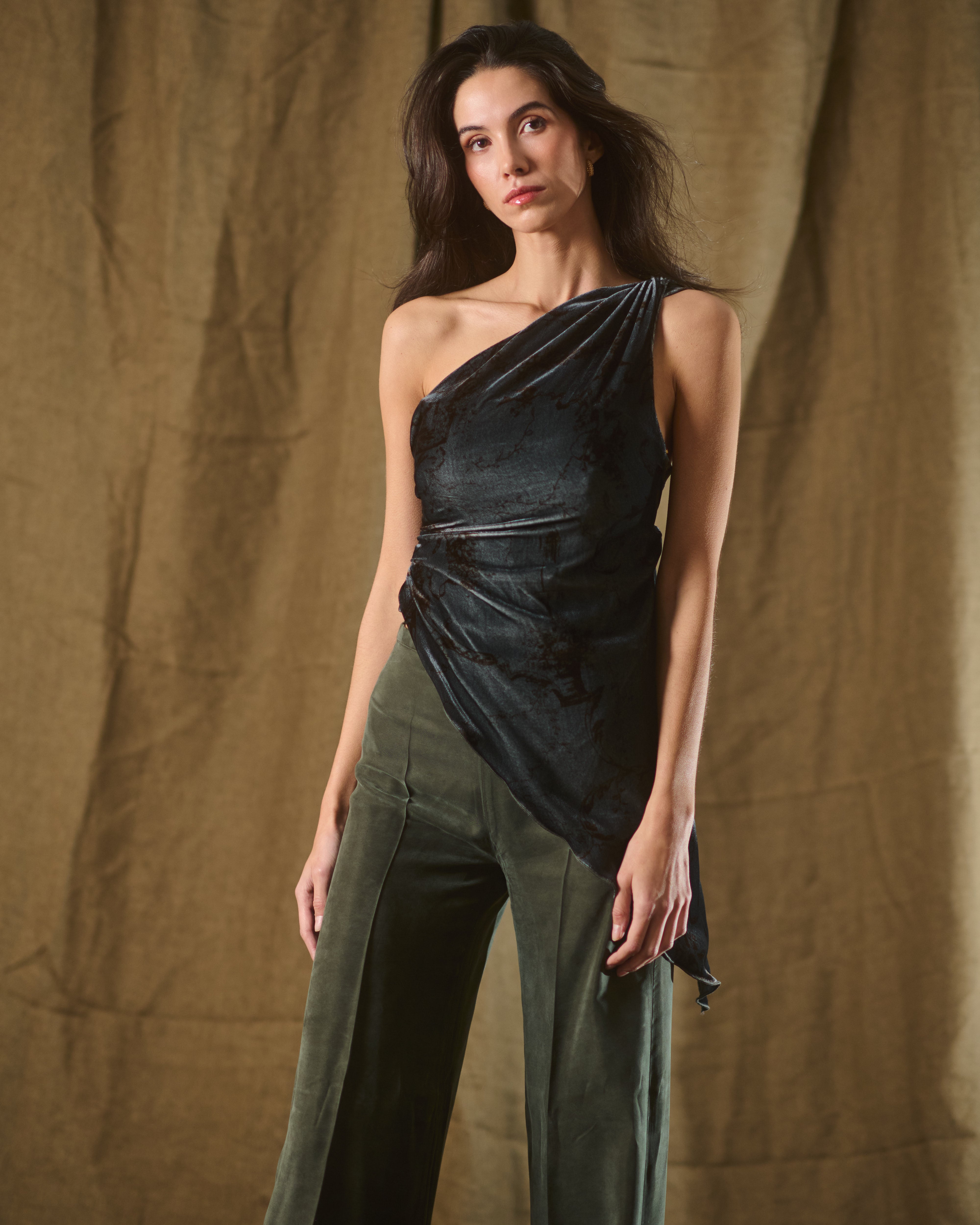 Silk Velvet Pienza Top - Print Blue